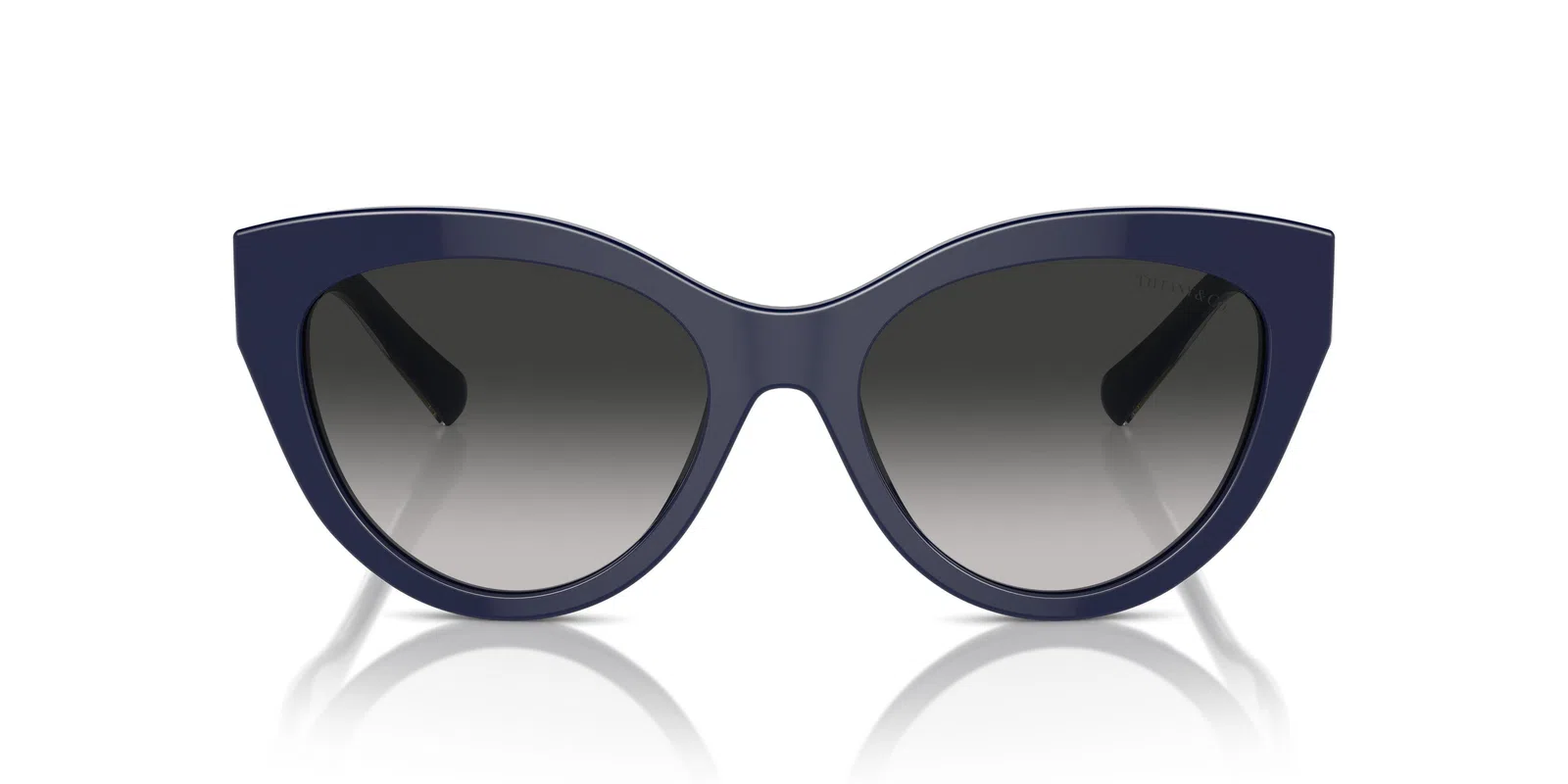 Tiffany 4220F Sunglasses - view 13